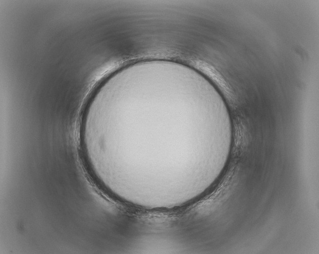 X0000115130632200912081306