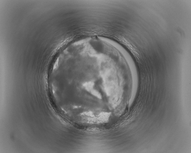 X0000115130634200912081306