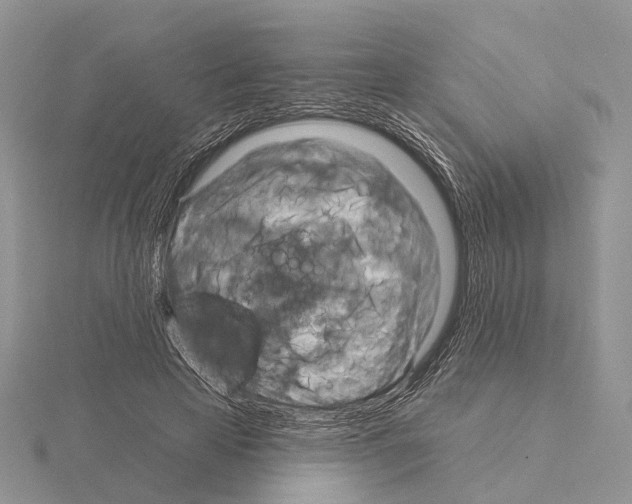 X0000115130641200912081306