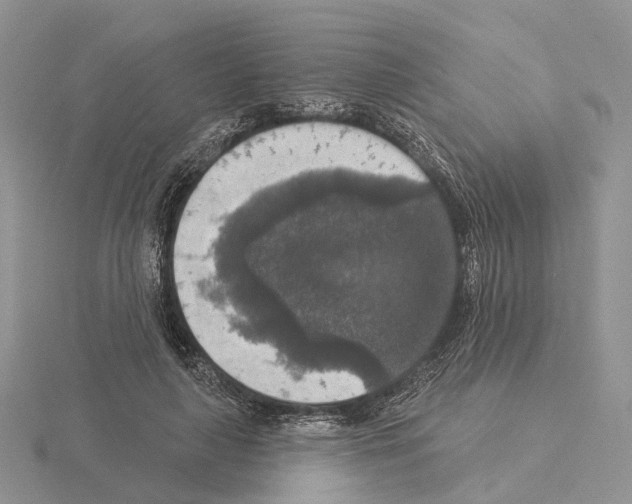 X0000115130643200912081306