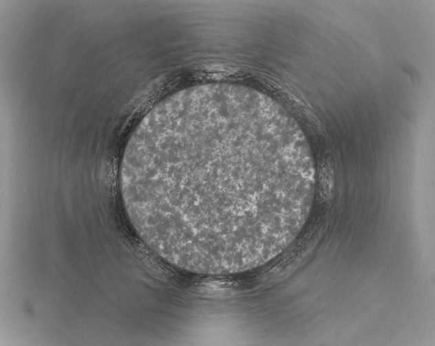 X0000115130657200912081306