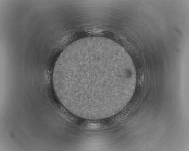 X0000115130658200912081306