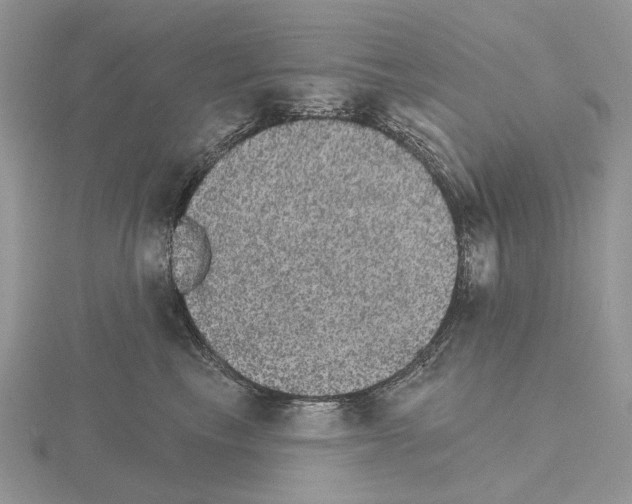 X0000115130665200912081306