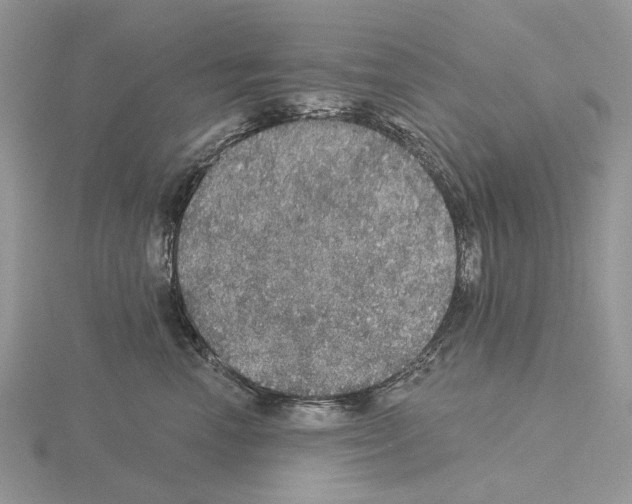 X0000115130666200912081306