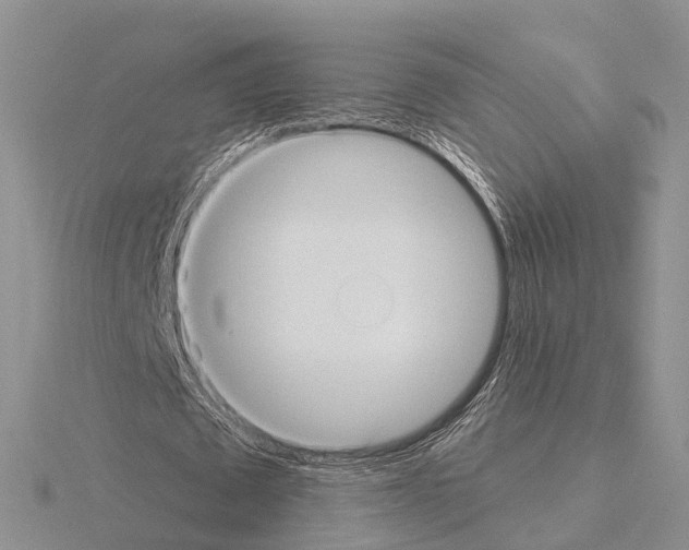 X0000115130673200912081306