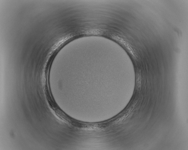 X0000115130674200912081306