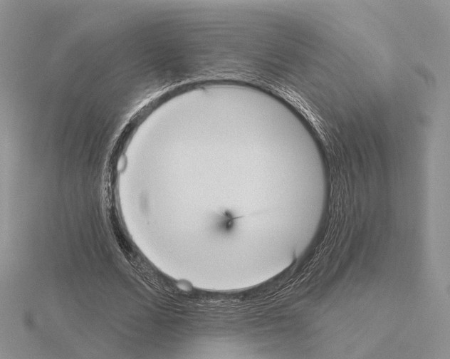 X0000115130680200912081306