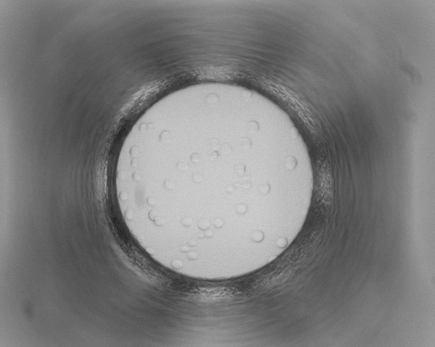 X0000115130686200912081306