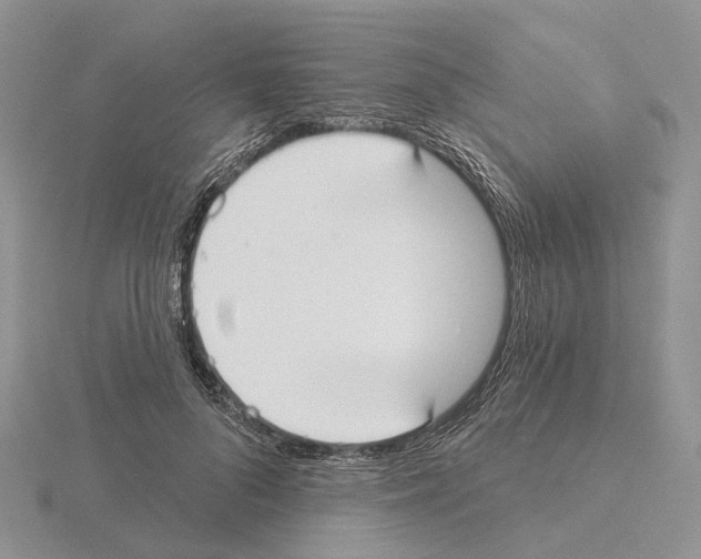 X0000115130696200912081306