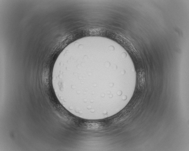 X0000115130698200912081305