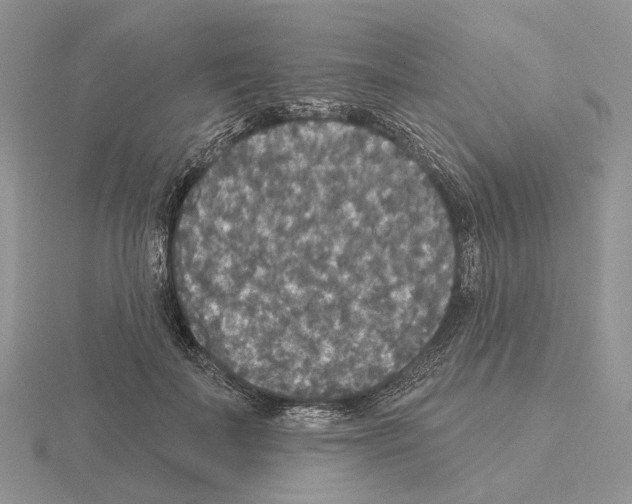 X0000115130699200912081305