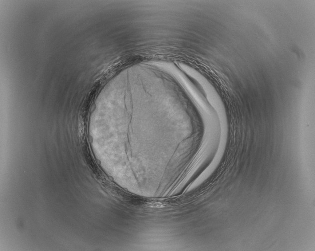 X0000115130704200912081305