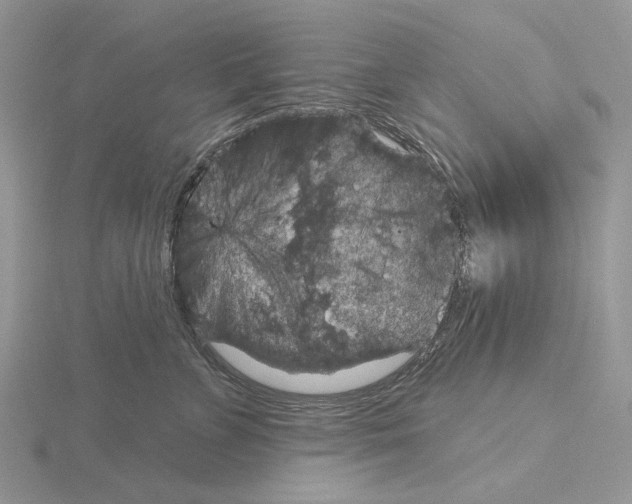 X0000115130715200912081305