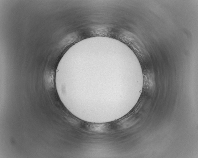 X0000115130717200912081305