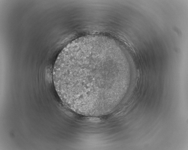 X0000115130719200912081305