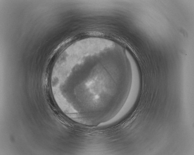 X0000115130723200912081304