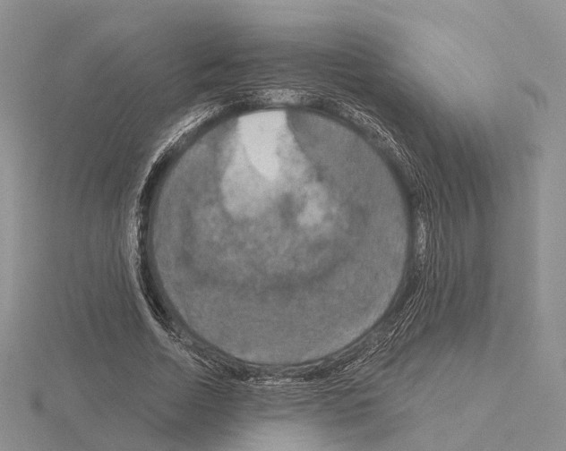 X0000115130730200912081305