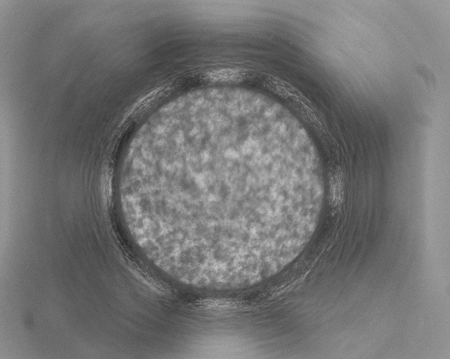 X0000115130733200912081305
