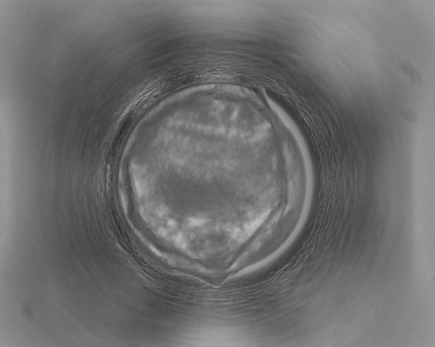X0000115130735200912081305
