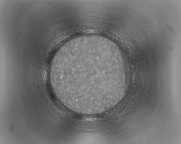 X0000115130746200912081305