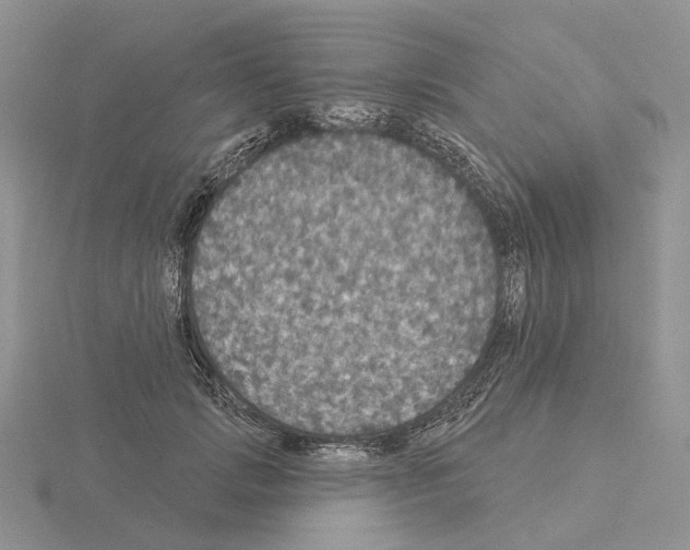 X0000115130749200912081305