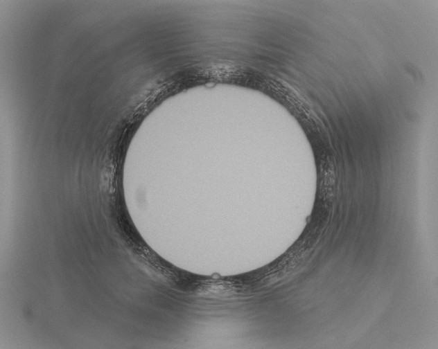 X0000115130750200912081305