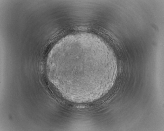 X0000115130751200912081305