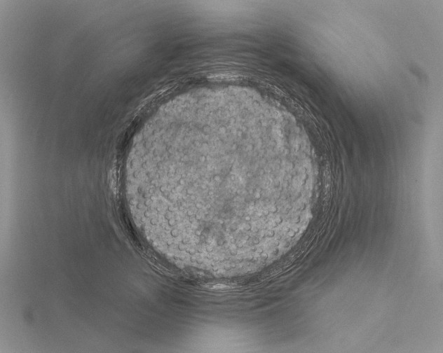X0000115130755200912081305