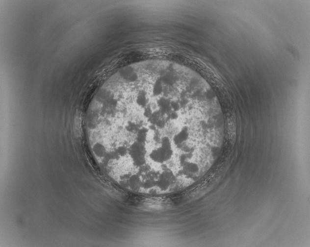 X0000115130757200912081305