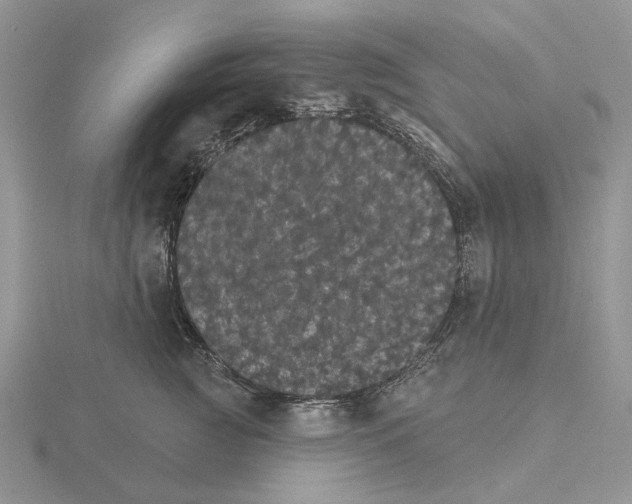 X0000115130761200912081305