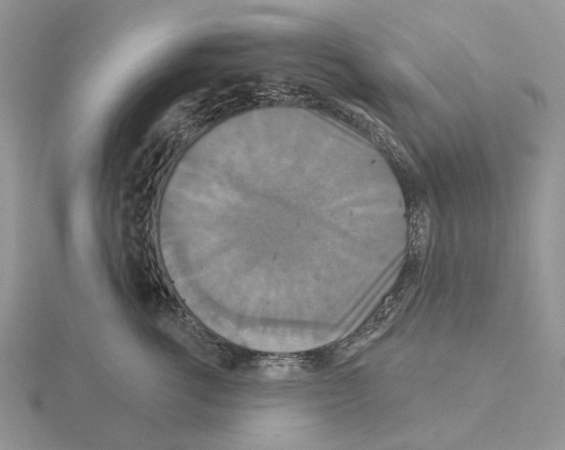 X0000115130762200912081305