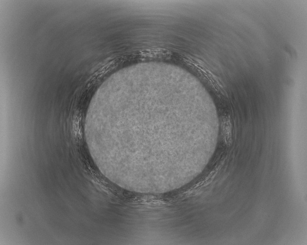 X0000115130770200912081304