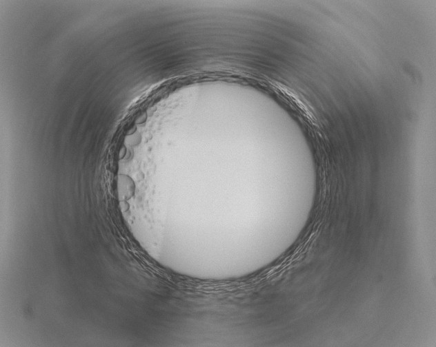 X0000115130776200912081304