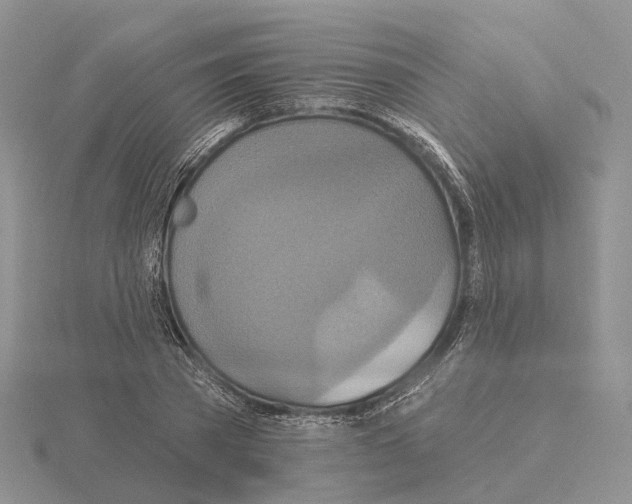 X0000115130785200912081304