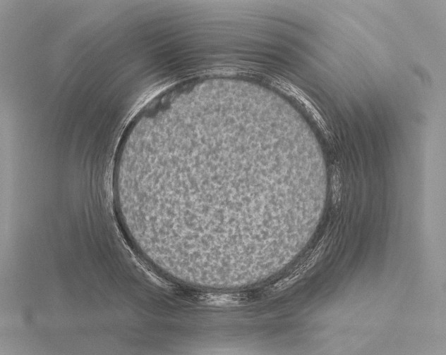 X0000115130794200912081304