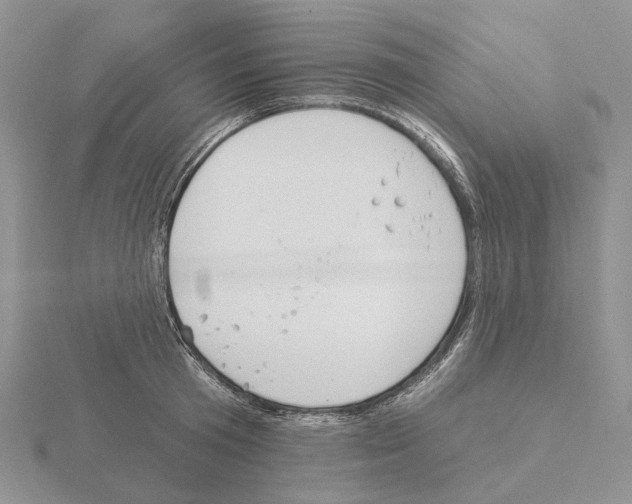 X0000115130801200912081304