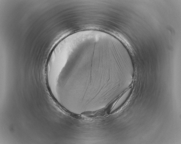 X0000115130806200912081304