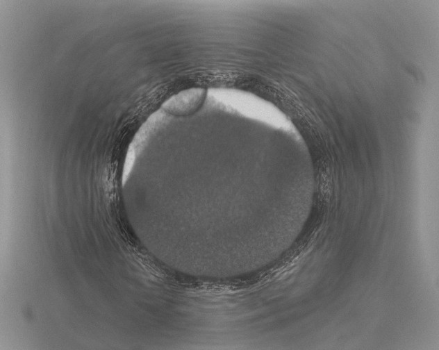 X0000115130818200912081303