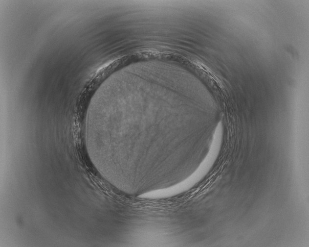 X0000115130822200912081303