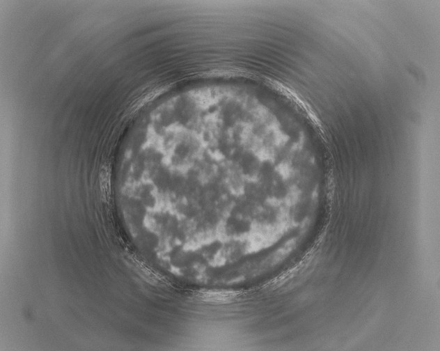 X0000115130825200912081303