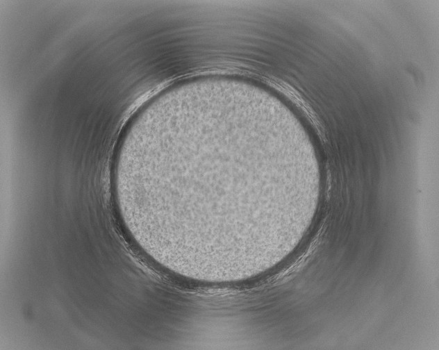 X0000115130834200912081303