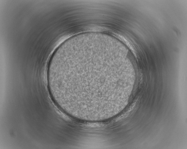 X0000115130843200912081303