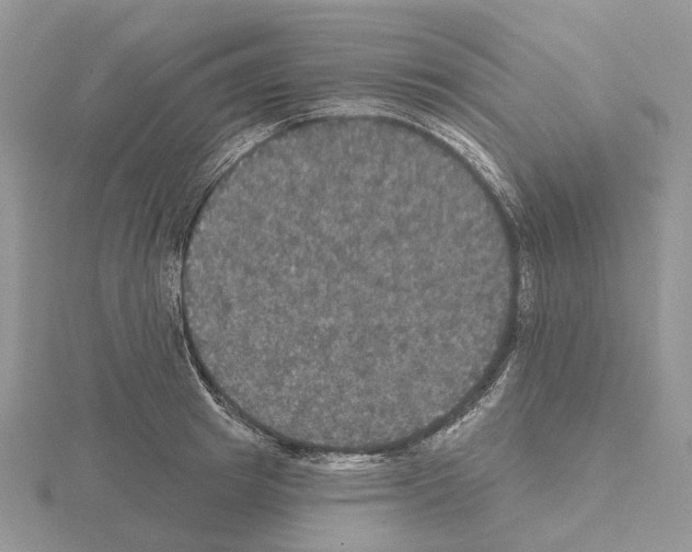 X0000115130849200912081303