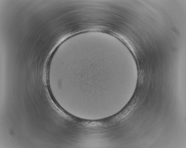 X0000115130851200912081303