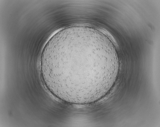 X0000115130852200912081303