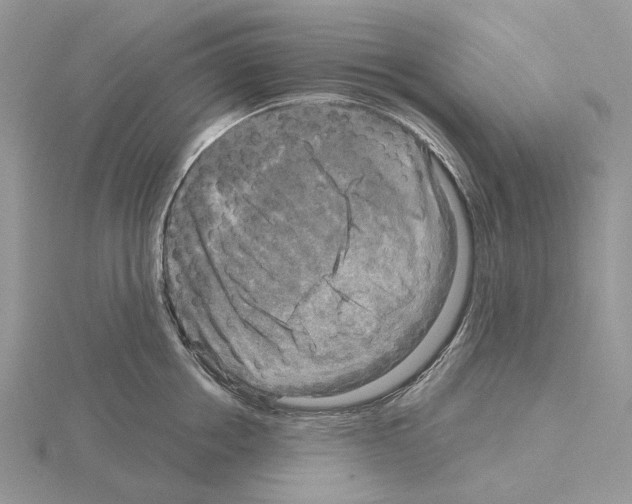 X0000115130858200912081304