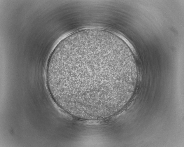 X0000115130861200912081304