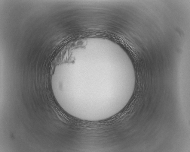 X0000115130868200912081303