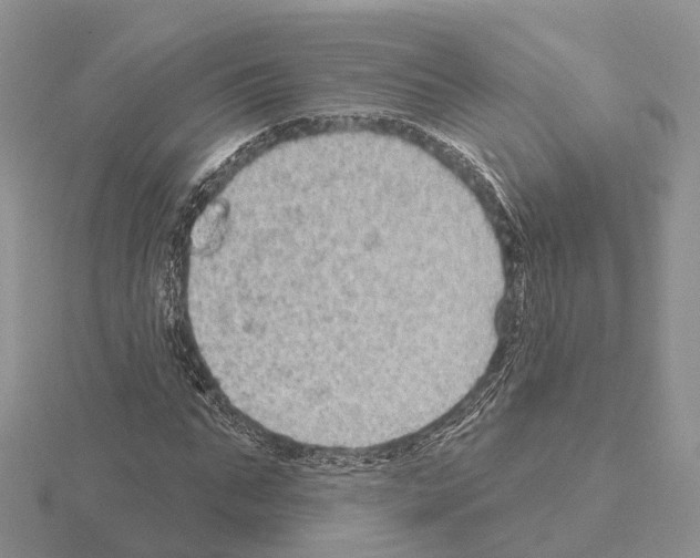 X0000115130871200912081303