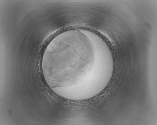 X0000115130872200912081303